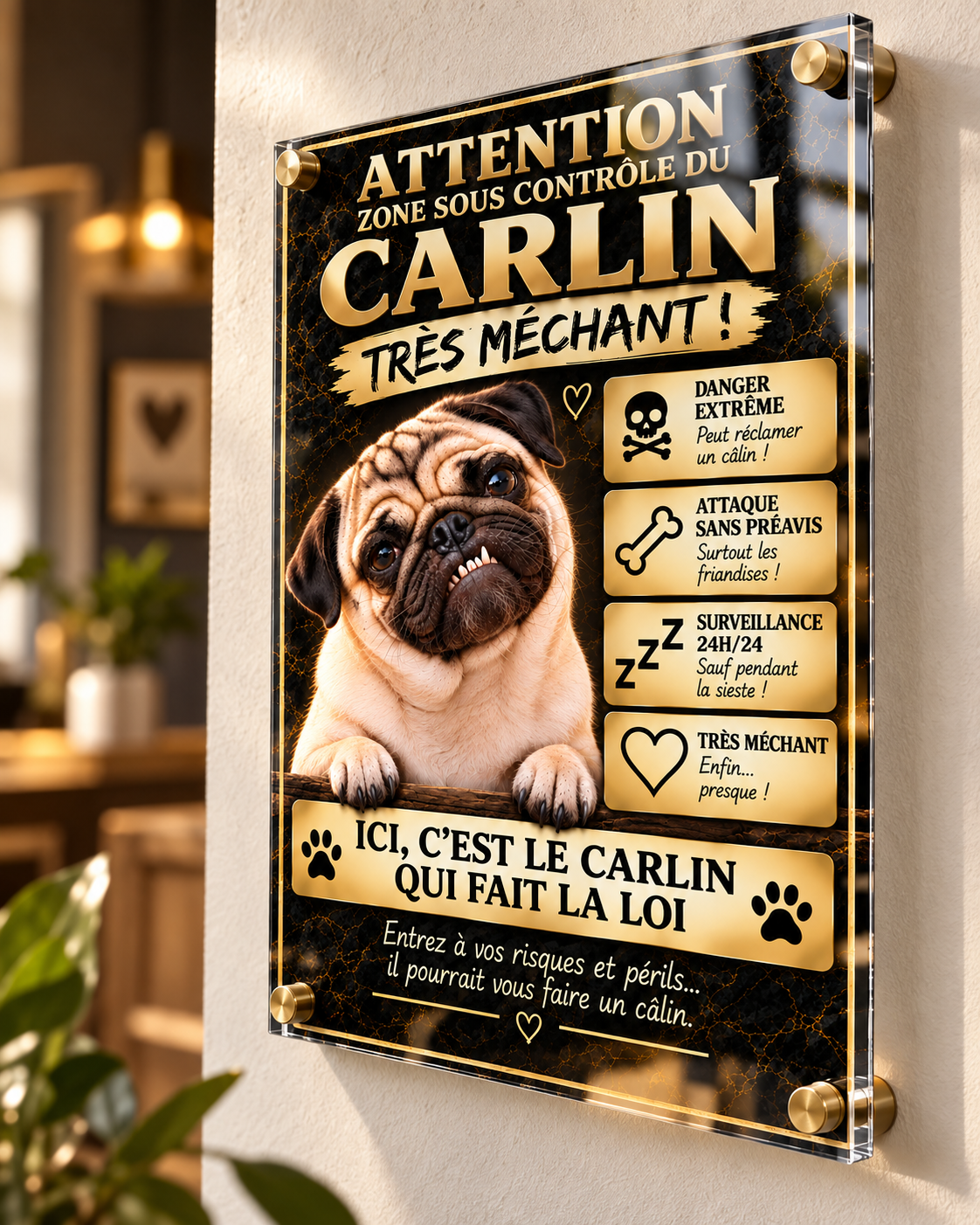 Plaque d’entrée Carlin « Très Méchant » en Plexiglas Premium – 20 × 30 cm